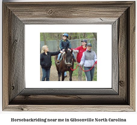 horseback riding near me in Gibsonville, North Carolina